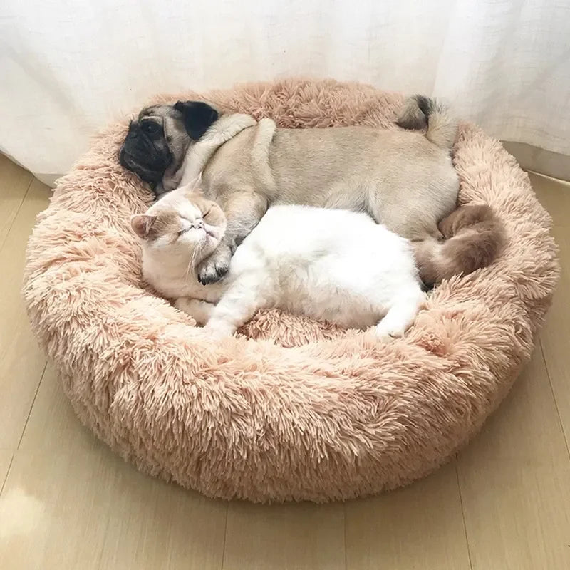 Cozy Circular Pet Bed for Cats & Dogs