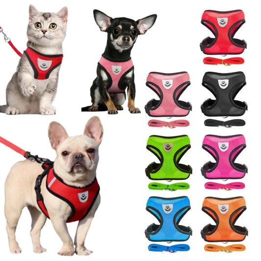 Breathable Mesh Cat Small Dog Harness