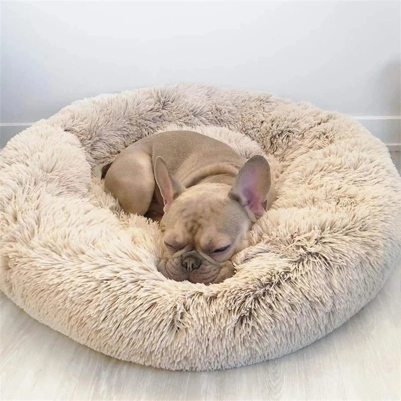 Cozy Circular Pet Bed for Cats & Dogs